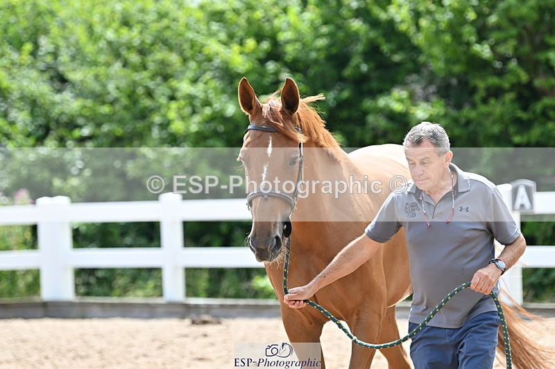 240717A-144527-02266 - Trot Up 2pm to 3pm - This folder is not in time order