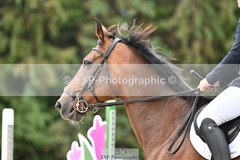 250706A-145618-20062 - Cls 49 Snr 1.10m Grand Prix