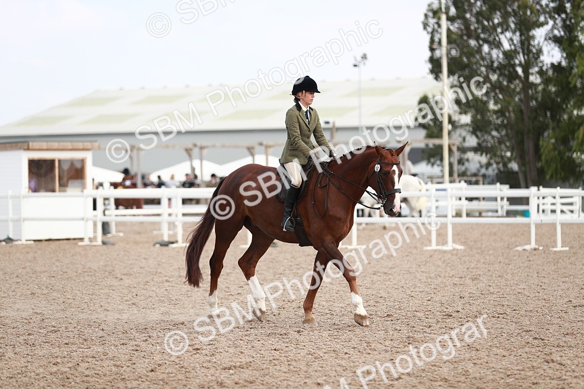 SBM_15539 - Class 213 Ridden Hunter -Large