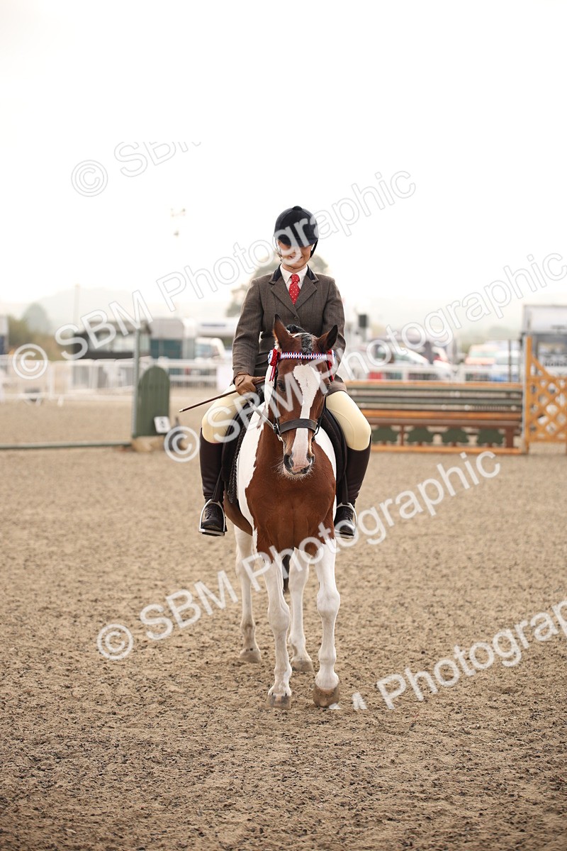 SBM_09725 - Class 401 Riding Club Pony