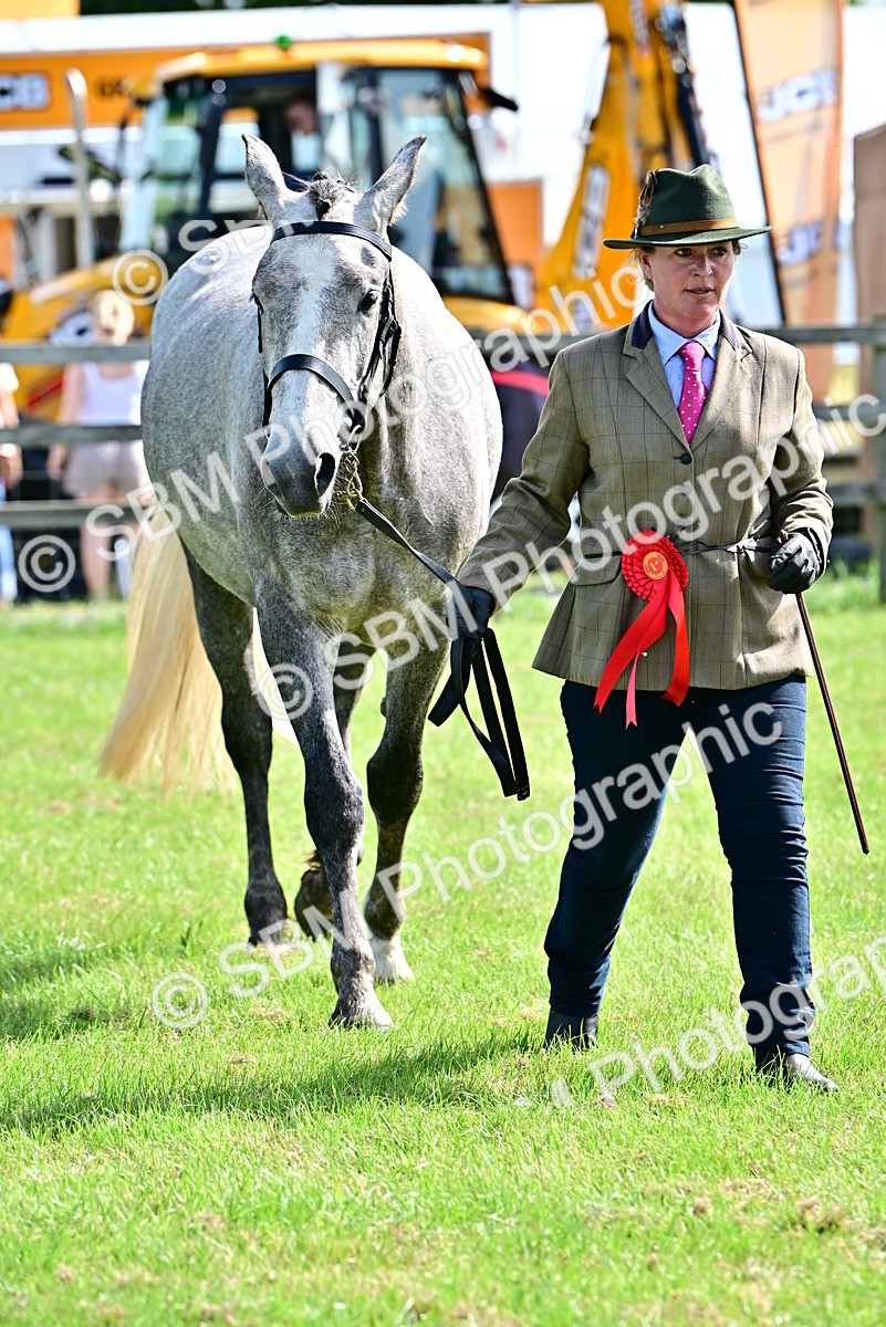 SBM_03357 - Class 50 - 54 Light Horse Breeding