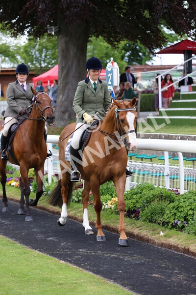yr22052022r8e-52 - ROR - Parade Ring York