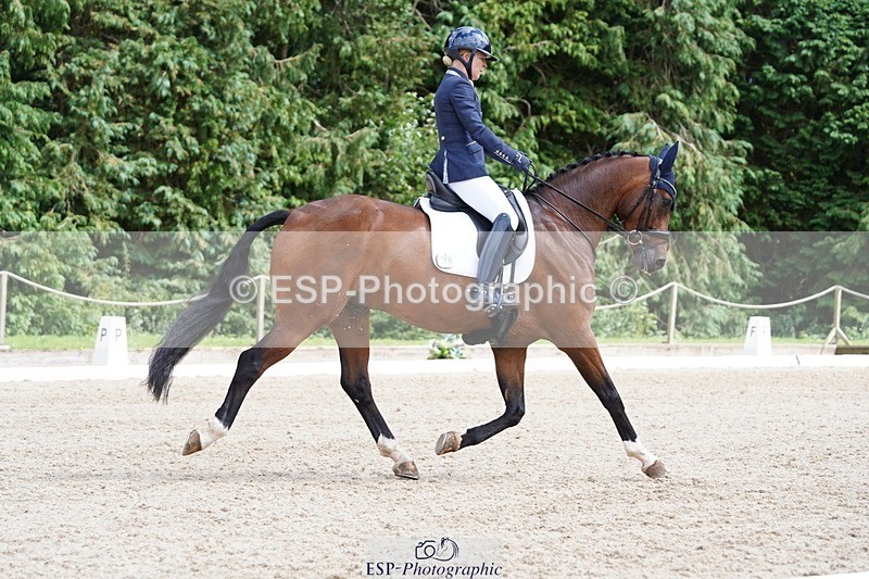 240721-151332-10022 - 195-Dawn_Bear-First_Taylor_Made