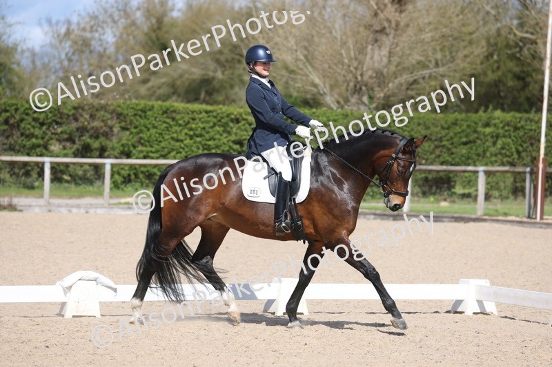 20260405-0588 - Class 7 - Medium 5