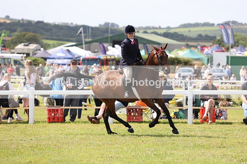 JPP_1365 - Class 17: Cornish Combination Open