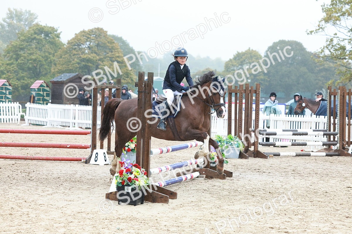SBM_73436 - Supreme Championship Junior Pony 60cm & 65cm