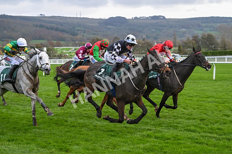 161124-Race 5-Noble Birth-0983 - Race 5