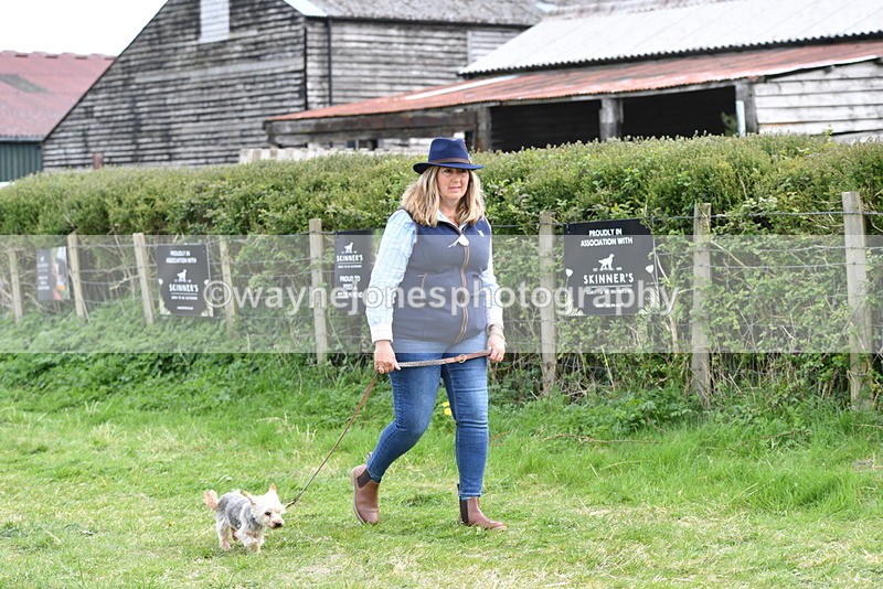 WJ5_9941 - Class 5 Best Veteran / 7 years & over