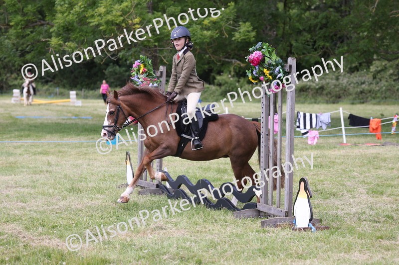 20260614-2084 - Class 21 - Novice Working Hunter Pony