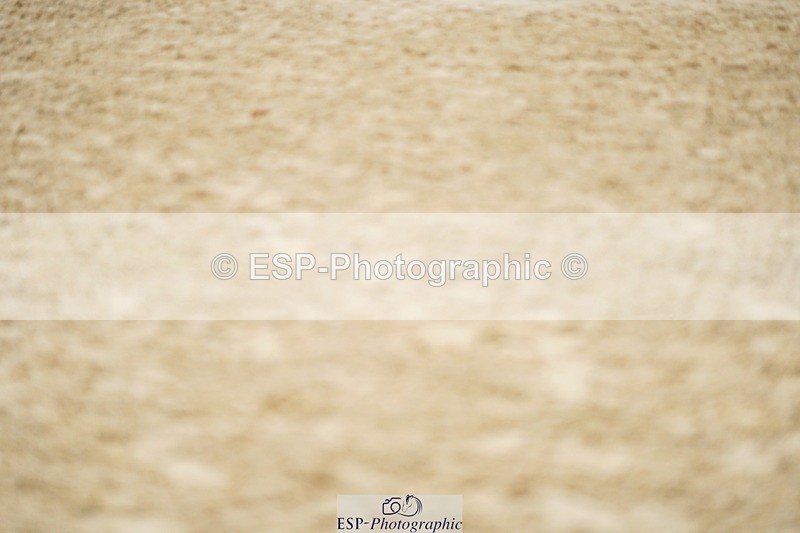 240309-125526-00751 - Cls 02 AE 80cm