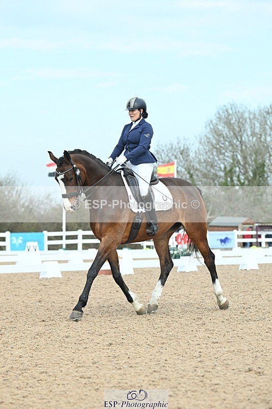 250403-095148-01037 - 037-Fay.Lai-Greenlanes.Lullaby