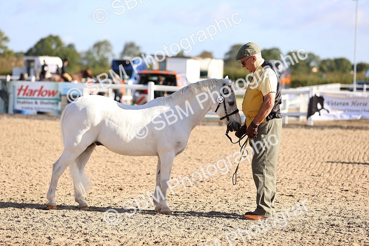SBM_08496 - Class 402 - IH Veteran Pony
