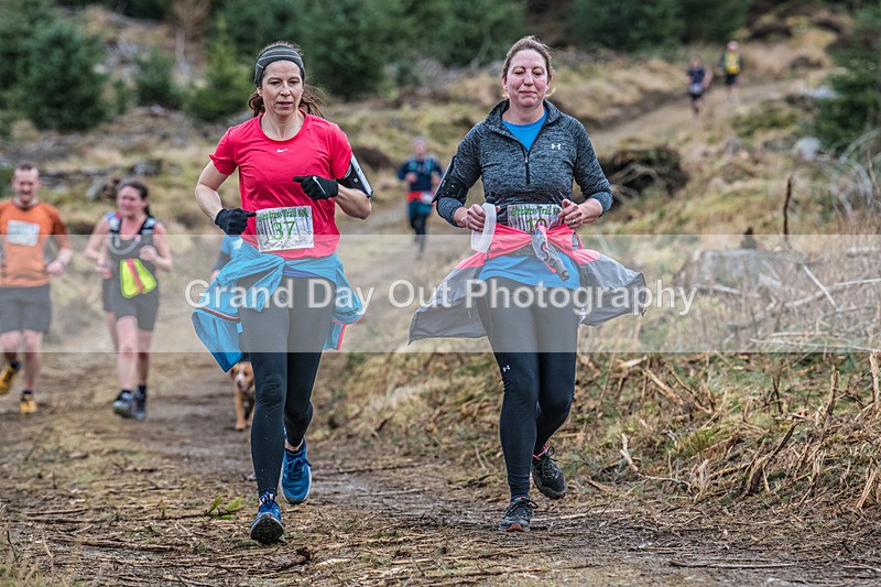 Glentress-1952 - High Terrain Events Glentress Marathon 21 & 10K Trail Races Sunday 18th February 2024