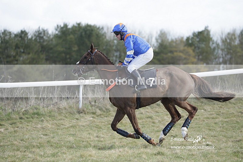 PtP 260223 556 - South & West Wilts Point-to-Point Larkhill 26/02/23