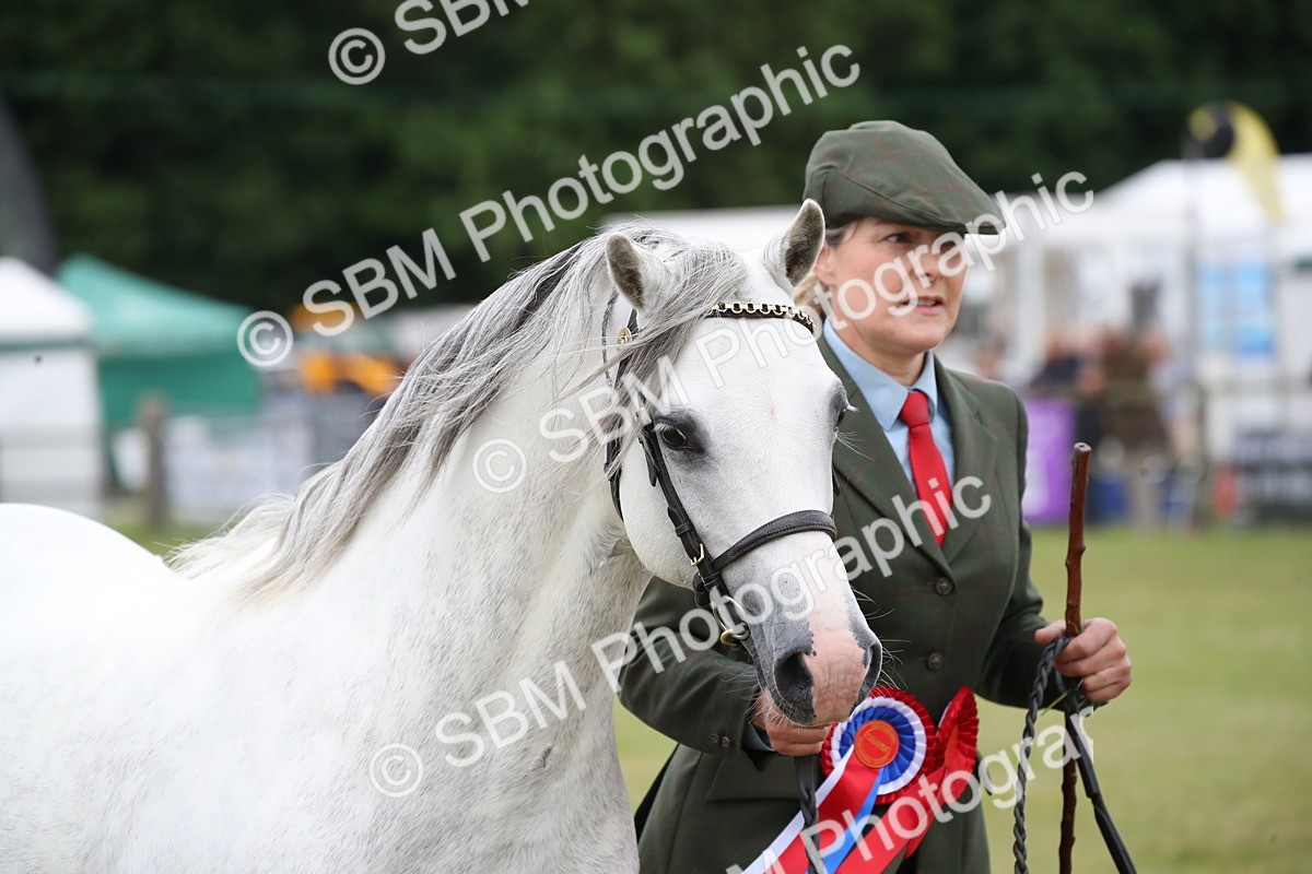 SBM_09861 - Ch 50 - Price Family Supreme In Hand