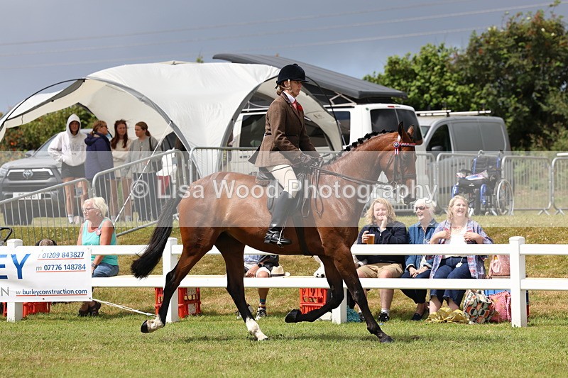 3E7A0843 - Class 8: Open Riding Horse/Hack