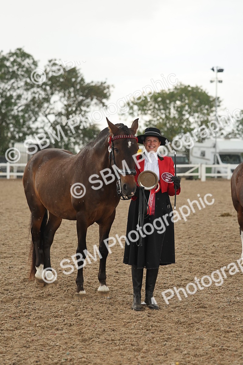 SBM_07707 - Class 26 - IH Foreign Breeds - Part Bred