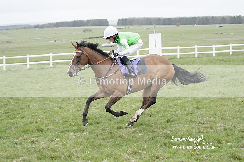 PtP 260323 1137 - New Forest Hounds Point-to-Point Larkhill 26/03/23