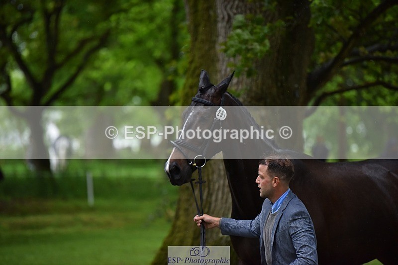 240522-162058-00850 - 201-PRIMITIVE_FUNTIME-Roberto_Scalisi