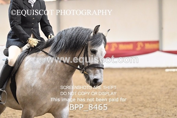 BPP_8465 - INTRO 1