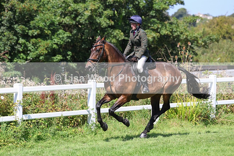 3E7A9015 - Class 6: Open Working Horse