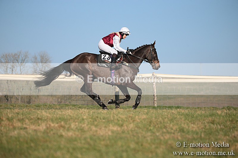 PtP 230219 397 - Vine & Craven Point-To-Point - Barbury 23/02/19