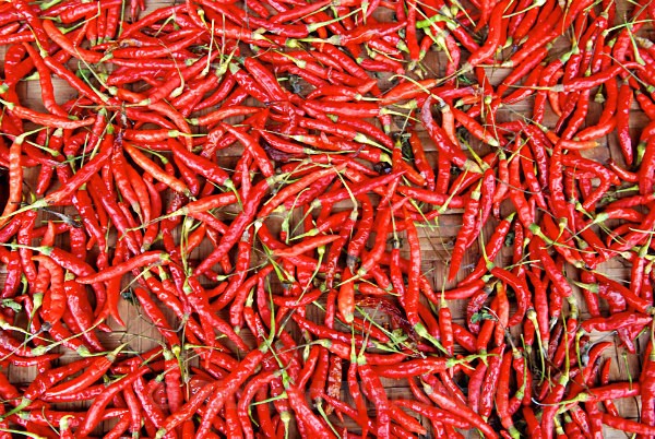  - Laos