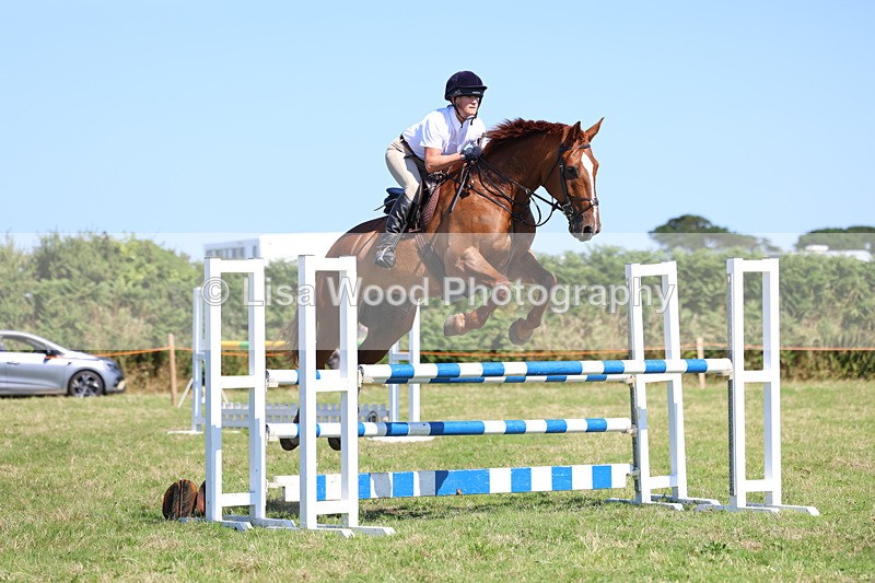 3E7A6433 - Class 13: Senior Newcomers/1.10m open