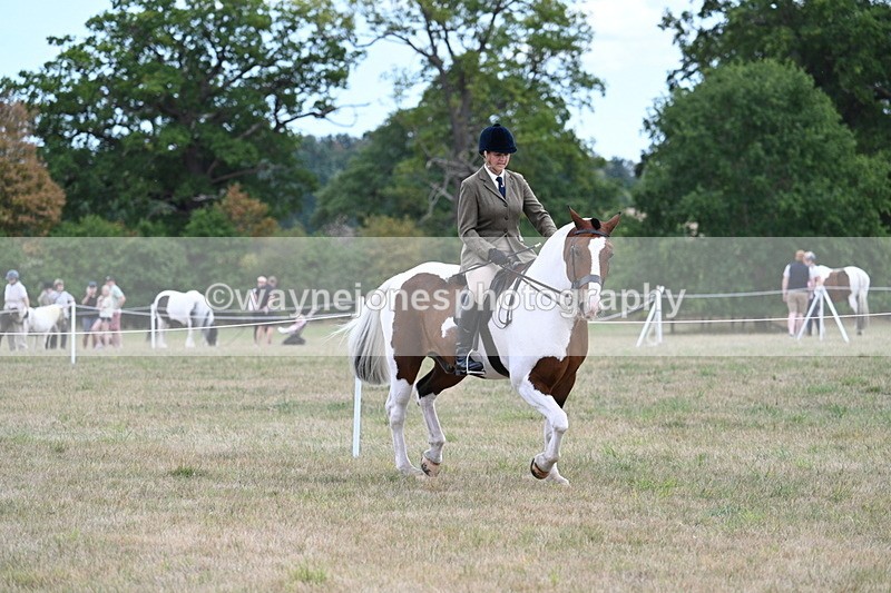 WJ7_5175 - Class 12 Ridden Cob