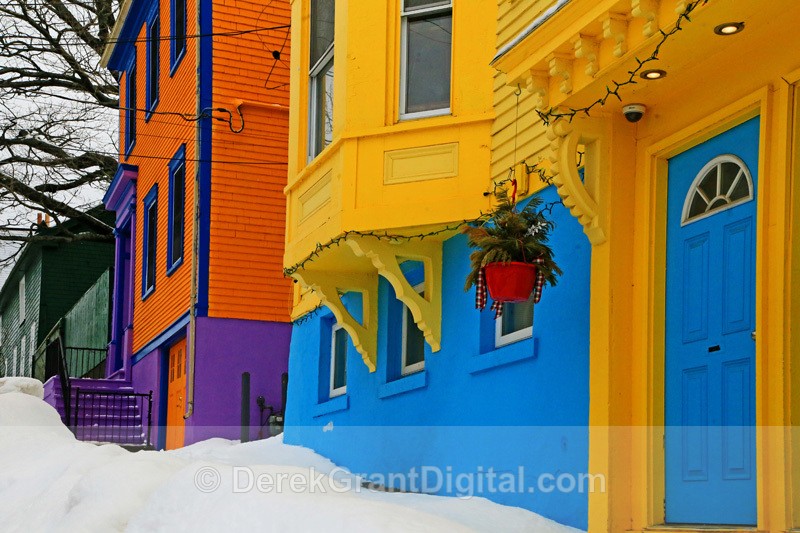 Jelly Bean Row - Saint John