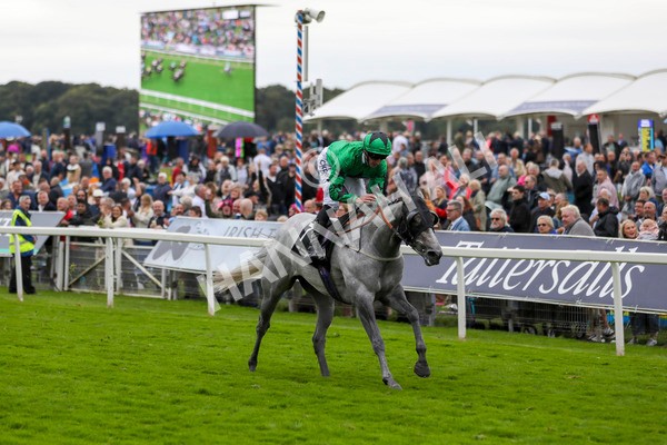 210824-Race 6-Star Of Lady M-7457 - Race 6 4.45pm Visit Irish Yearling Sale With ITM Fillies' Handicap