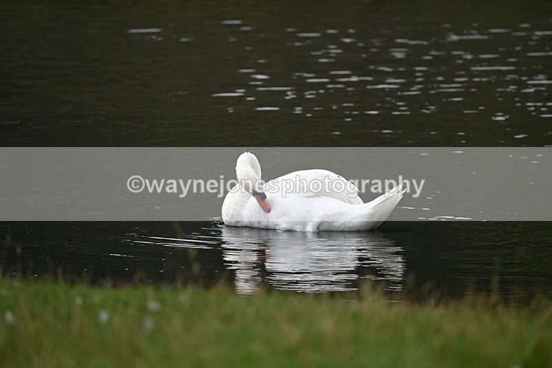 WJ7_7480 - Time at Water 10:28 to 11:05