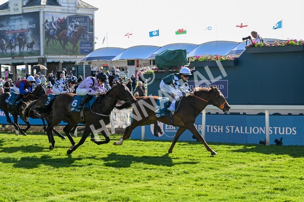 140525-Race 6-Ballistic Missile-2874 - Race 6 4.55pm British Stallion Studs EBF Novice Stakes
