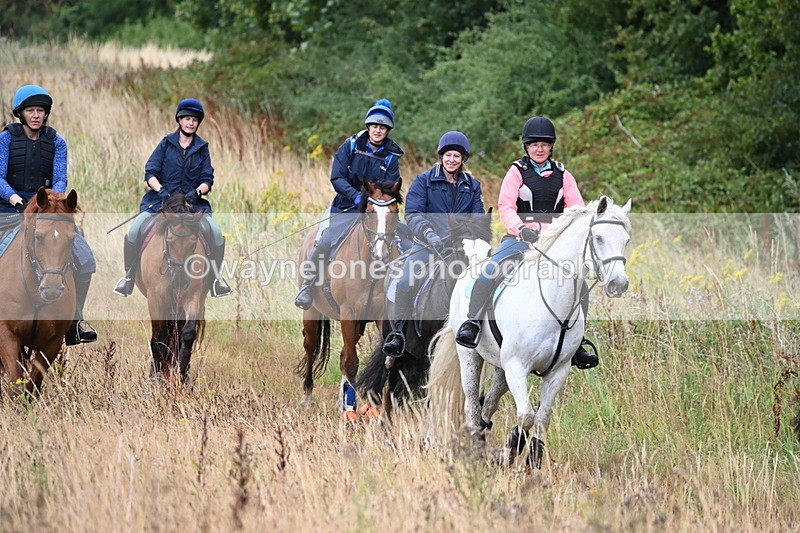 WJ6_2208 - Group 6?