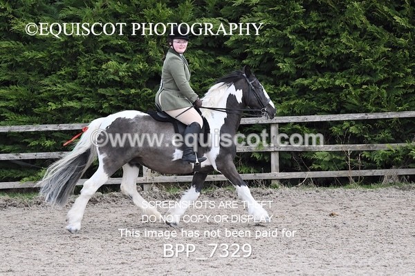 BPP_7329 - RING 1  (RIDDEN HORSES / IN HAND / VETERAN ETC)
