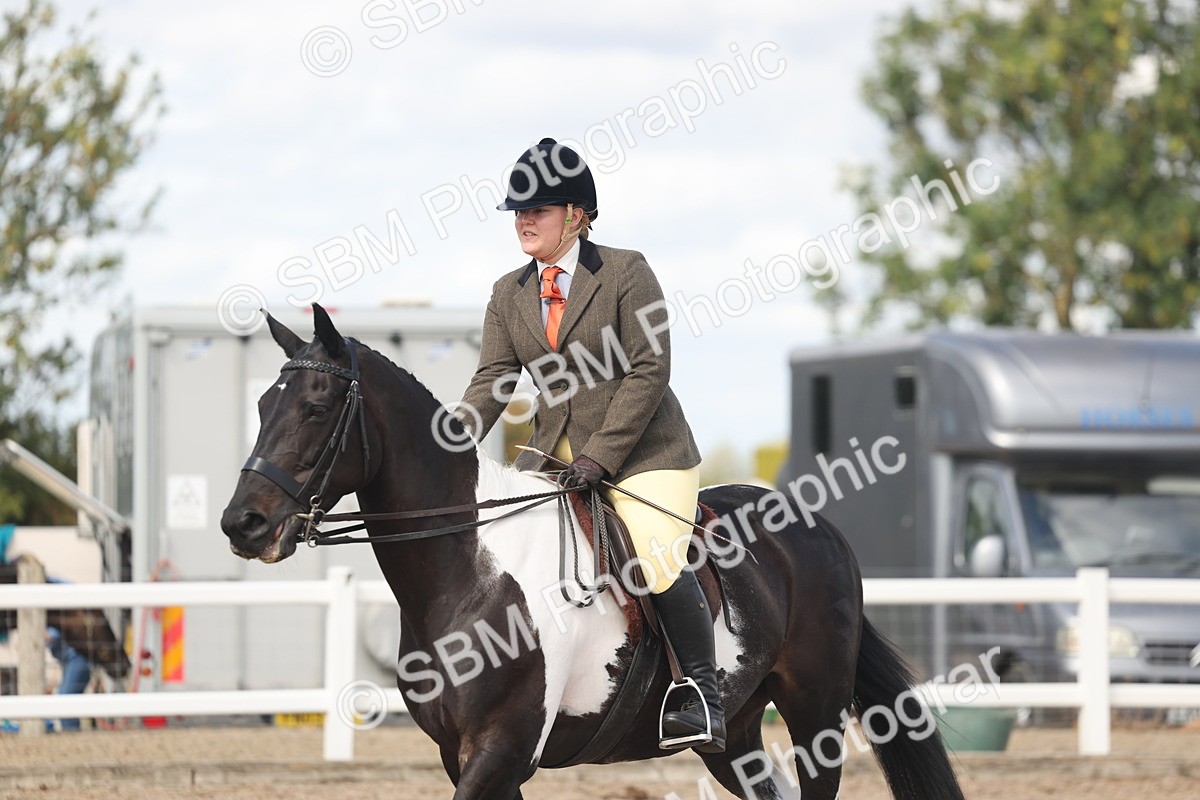 SBM_14831 - Class 308 - Ridden Coloured Horse