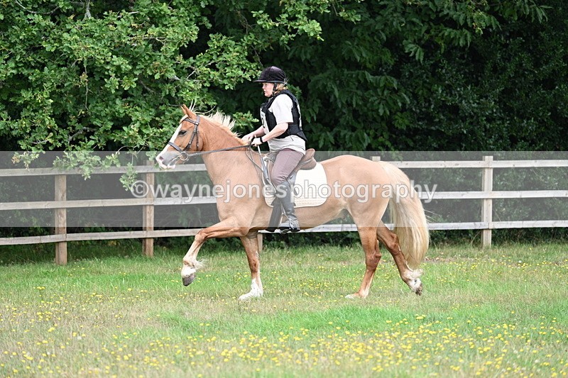 WJ7_0299 - XC Time 10:05 to 12:27