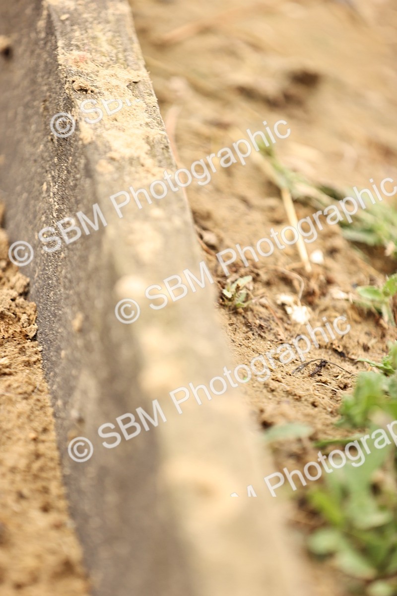 SBM_004101 - Class 7-10 - Novice 2-Elementary 2