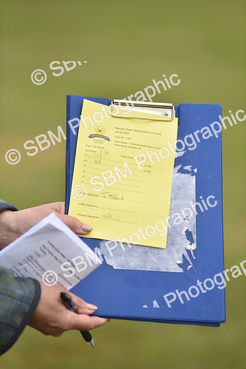 SBM_10682 - Class 109 - Retraining of Racehorses in Hand