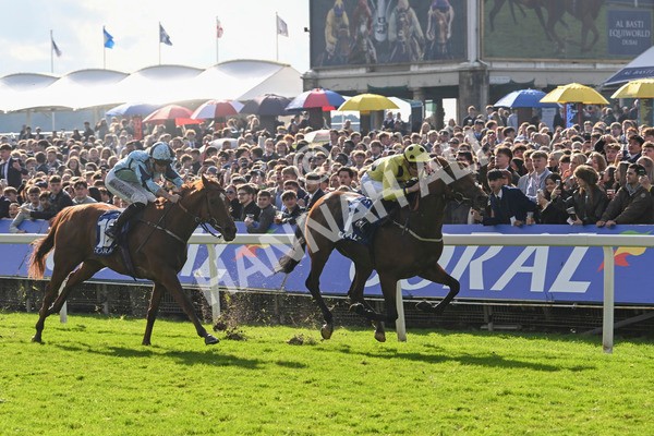 121024-Race 2-Bolster-2790 - Race 2 2.05pm Coral Daily Rewards Shaker Handicap