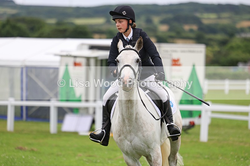 3E7A3002 - Class 1: Open 70cm (Not all Competitors)