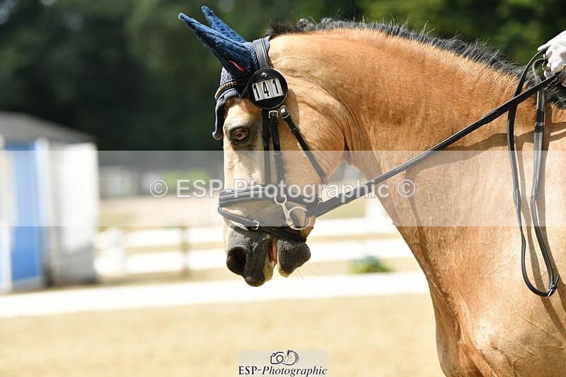 250718A-122638-01450 - 141-Chloe.Dunn-Towerhill.Shamie