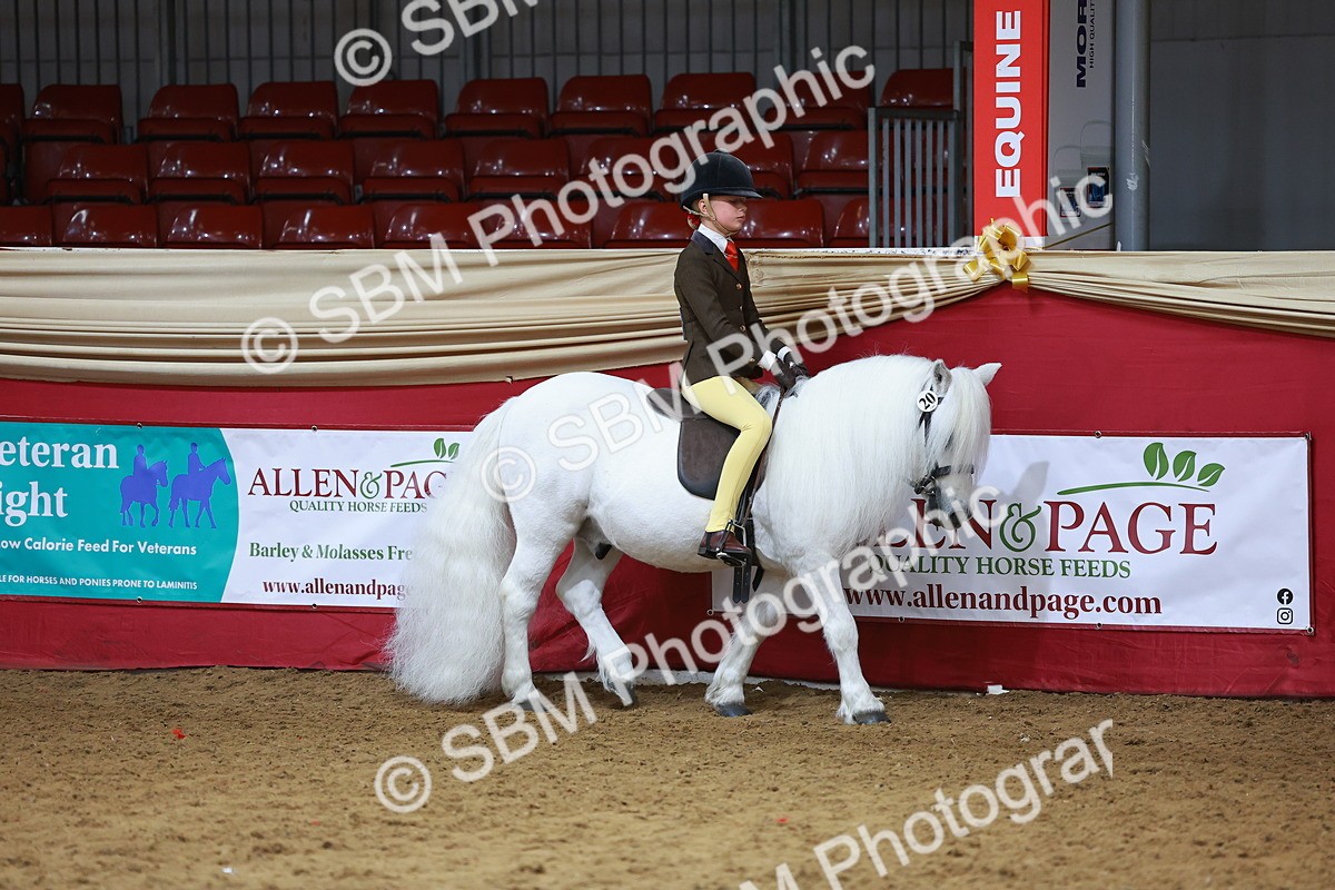 SBM_09357 - Class 102 - HOYS Veteran Qualifier - Ridden Veteran