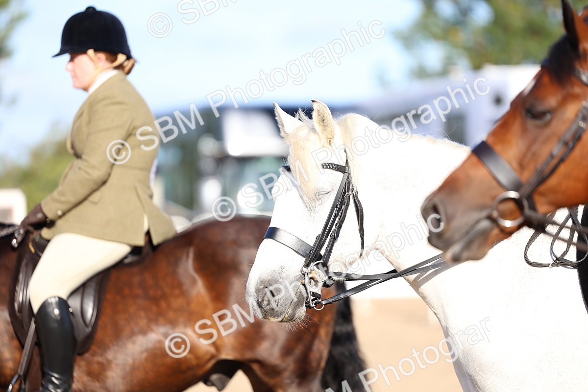 SBM_08844 - Class 302 - Ridden M&M - Large Breeds
