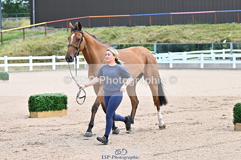 240718A-105236-00892 - Trot Up 11am to 12pm