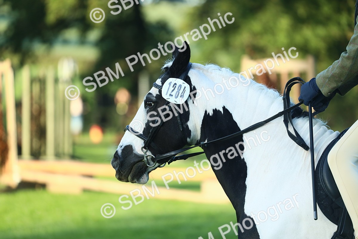 SBM_31731 - S28 - Nursery Stakes Working Hunter Pony