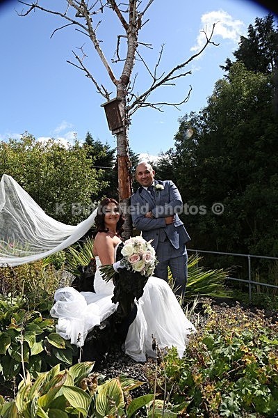 231 - Sandra Grogan and Robert Perez Wedding