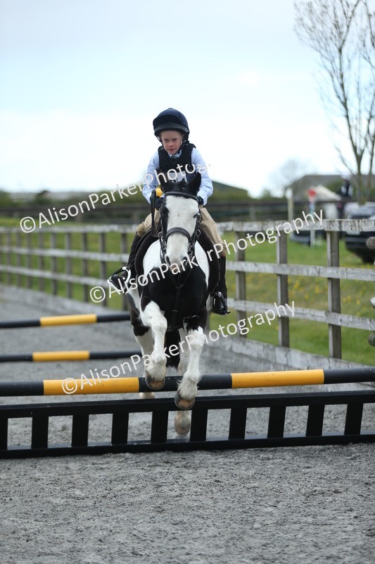 20260412-1838 - Show Jumping