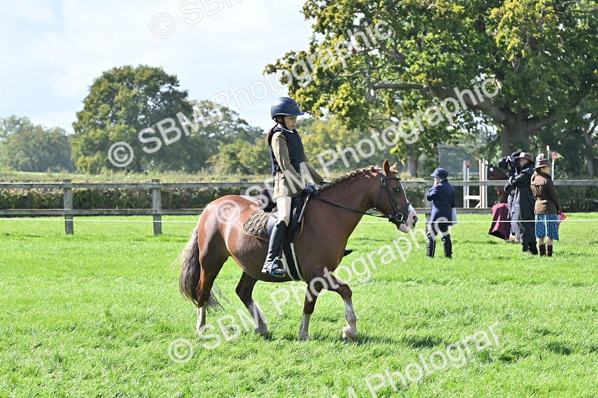 SBM_44525 - S13 - Pony Club Pony