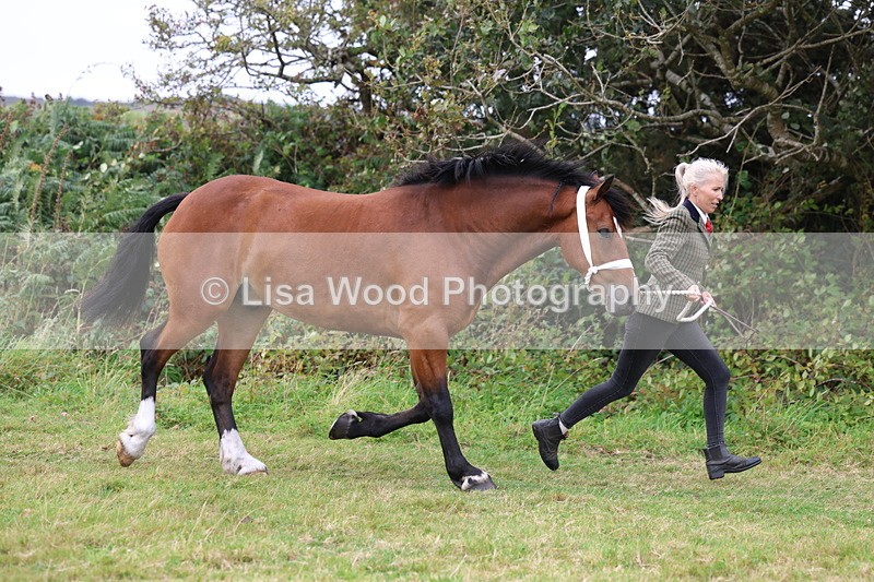 3E7A4367 - Class 15: Three Year Olds